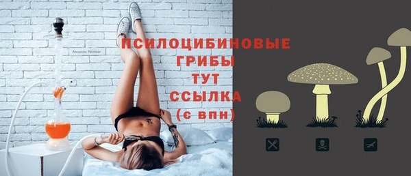прущие грибы Беломорск