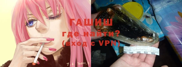сатива Белокуриха