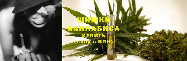 прущие грибы Беломорск
