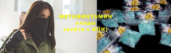 прущие грибы Беломорск