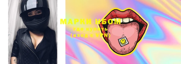 прущие грибы Беломорск