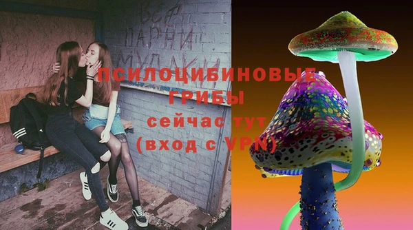сатива Белокуриха