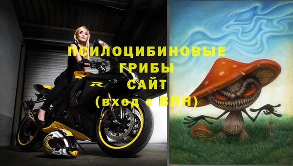сатива Белокуриха