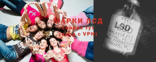 сатива Белокуриха