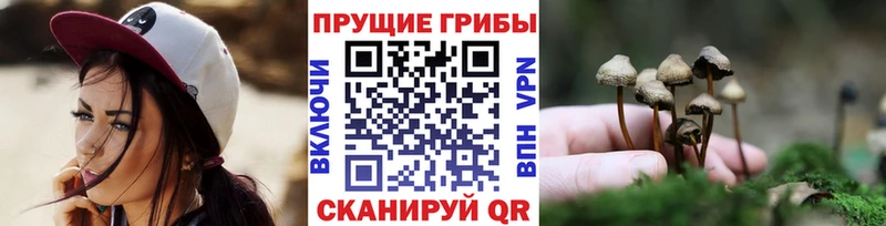Галлюциногенные грибы ЛСД  hydra ТОР  Нерюнгри 