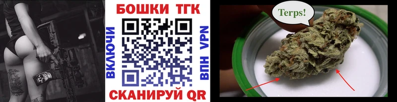 Бошки марихуана сатива  Нерюнгри 